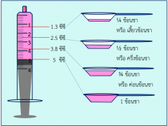 ช้อนชา1